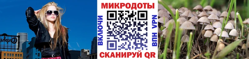 Купить закладки  Прохладный  Псилоцибиновые грибы ЛСД 